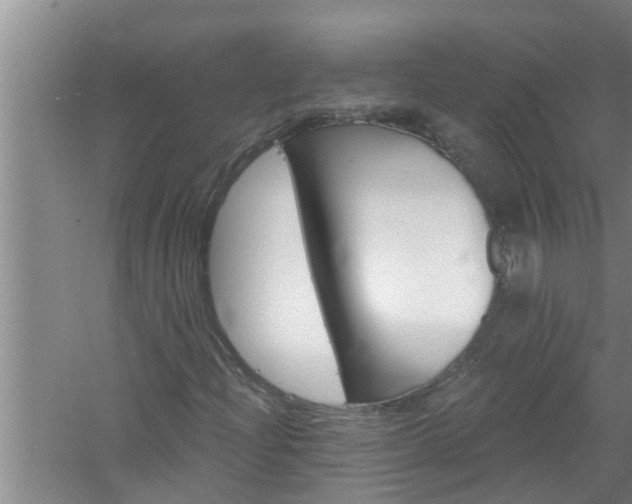 X0000058831204200510071812