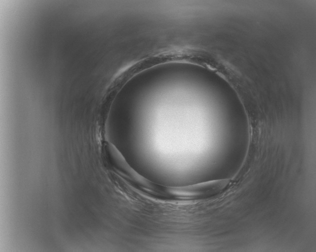 X0000058831206200510071812