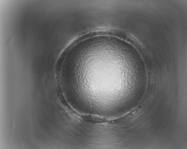 X0000058831208200510071812