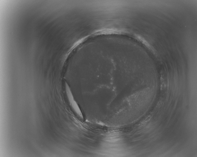 X0000058831213200510071812