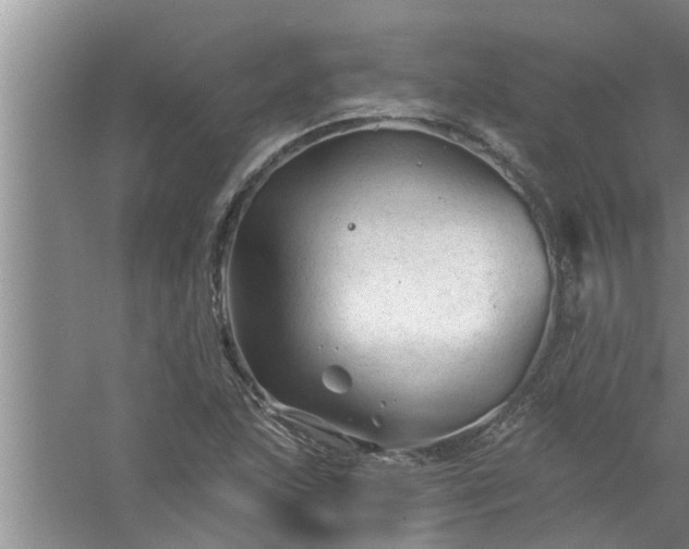 X0000058831215200510071812