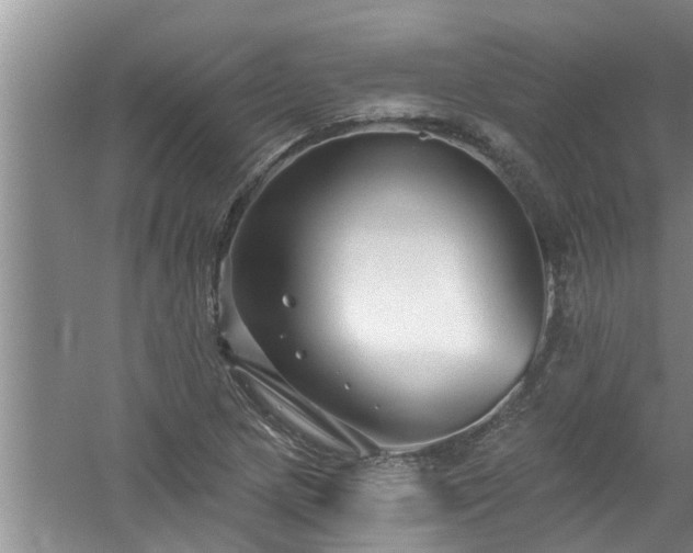 X0000058831217200510071812