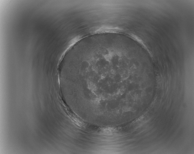 X0000058831219200510071812