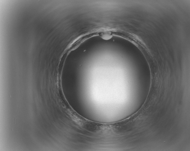 X0000058831220200510071812