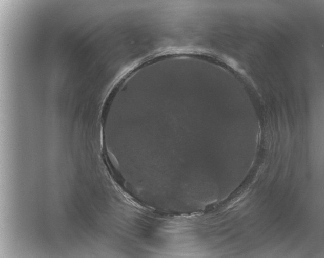 X0000058831221200510071812