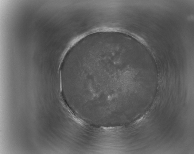 X0000058831223200510071812