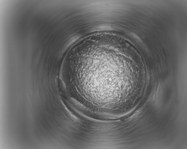 X0000058831225200510071812