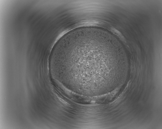 X0000058831226200510071812