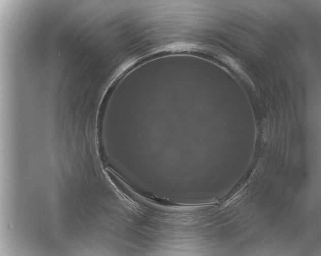 X0000058831229200510071812