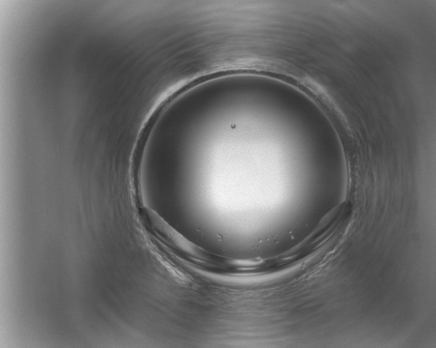 X0000058831230200510071812