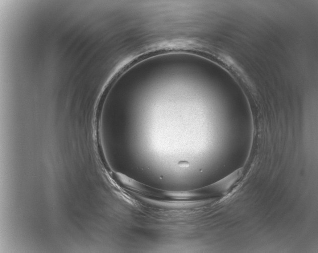 X0000058831232200510071812