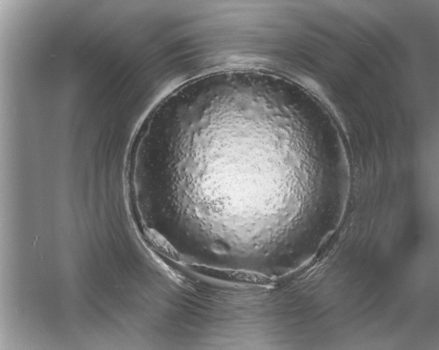 X0000058831235200510071812