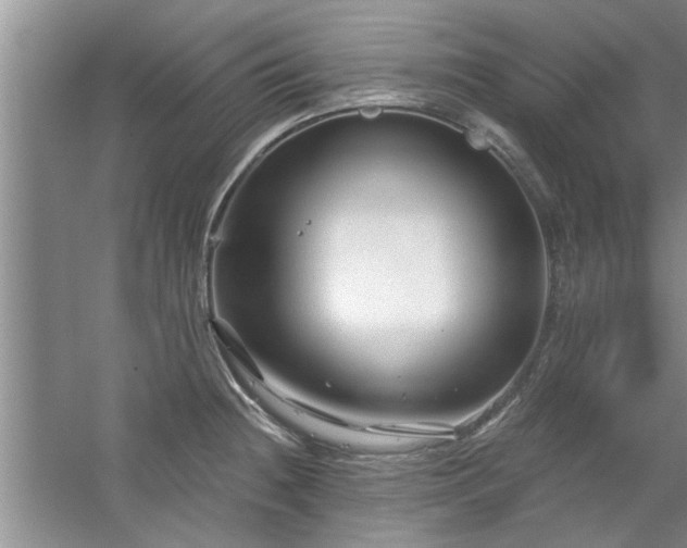 X0000058831236200510071812