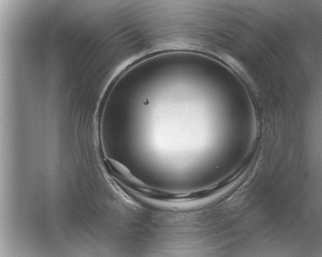 X0000058831238200510071812