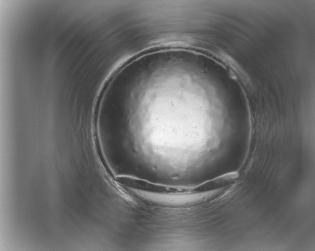 X0000058831240200510071812