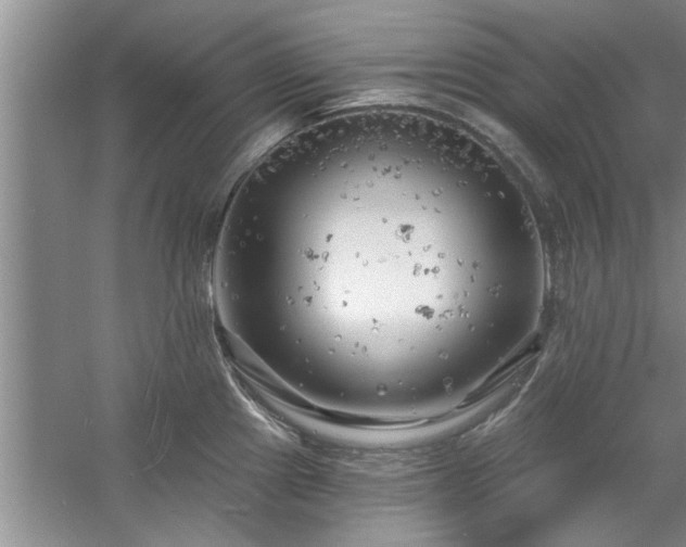 X0000058831241200510071812