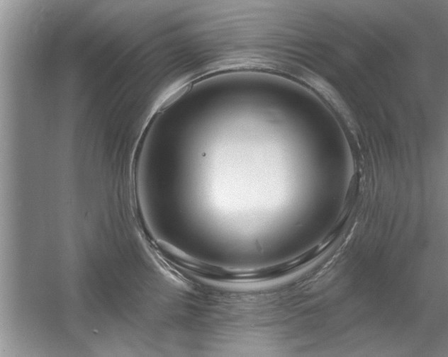 X0000058831242200510071812