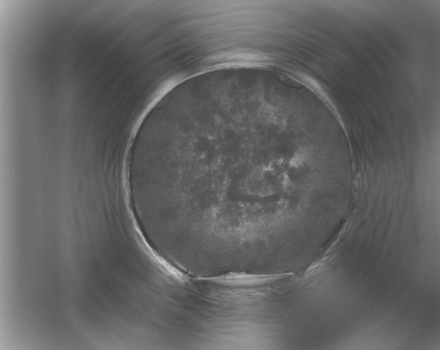 X0000058831243200510071812