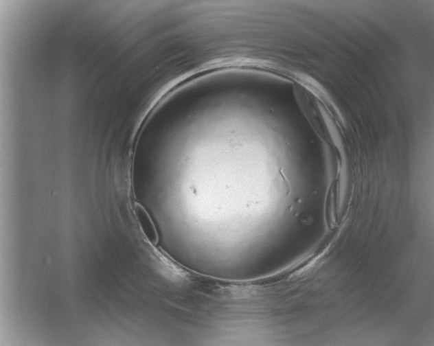 X0000058831244200510071813