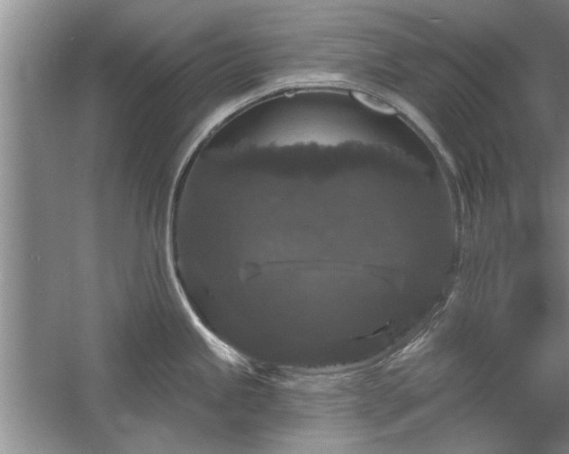 X0000058831245200510071813