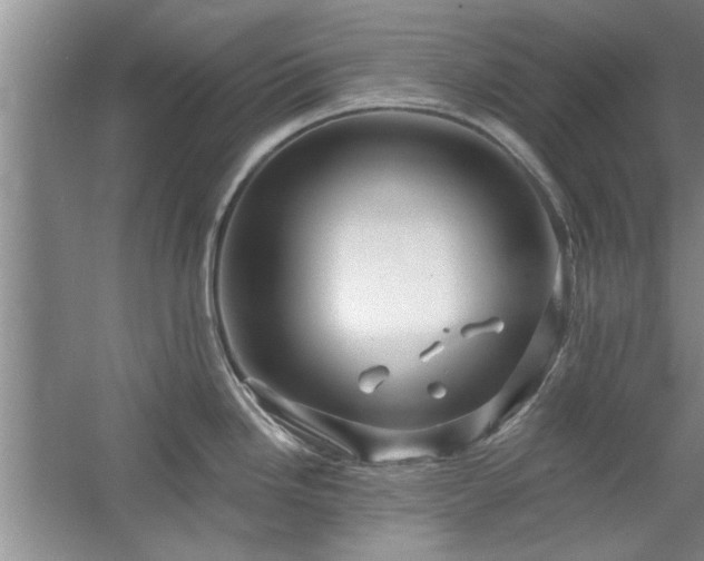 X0000058831246200510071813