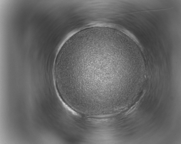 X0000058831247200510071813