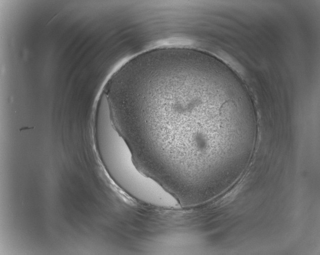 X0000058831248200510071813