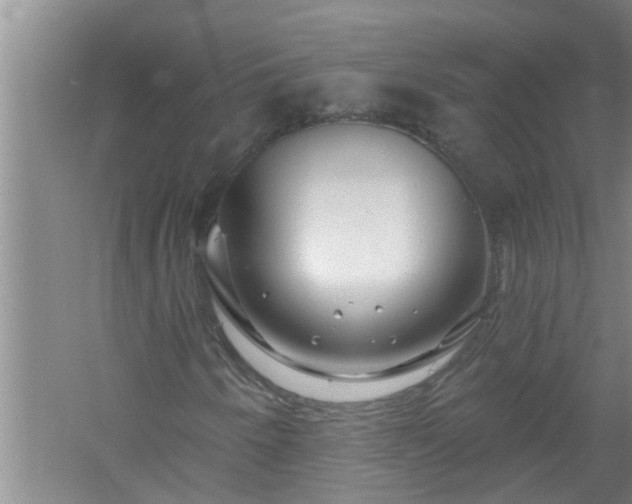 X0000058831250200510071812