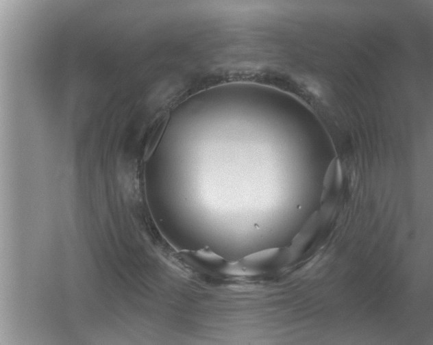 X0000058831252200510071812