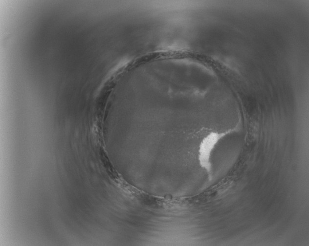 X0000058831254200510071812