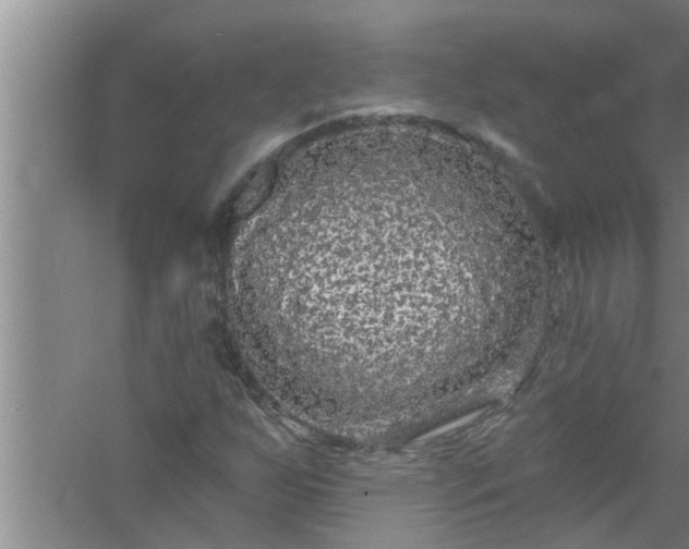 X0000058831255200510071812