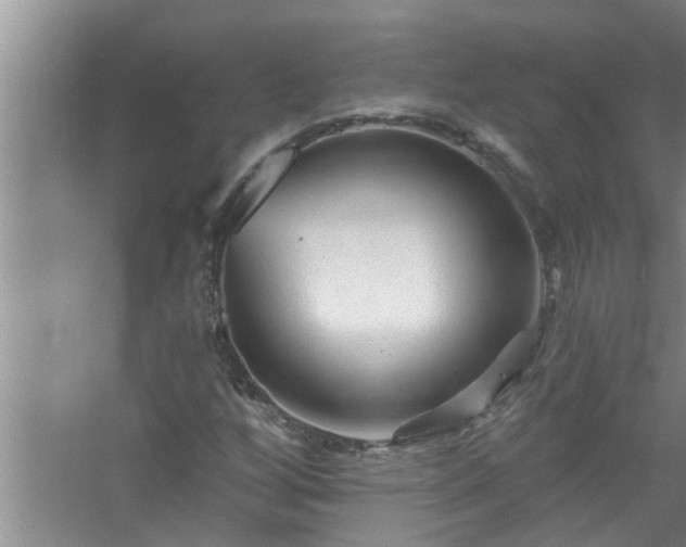 X0000058831256200510071812