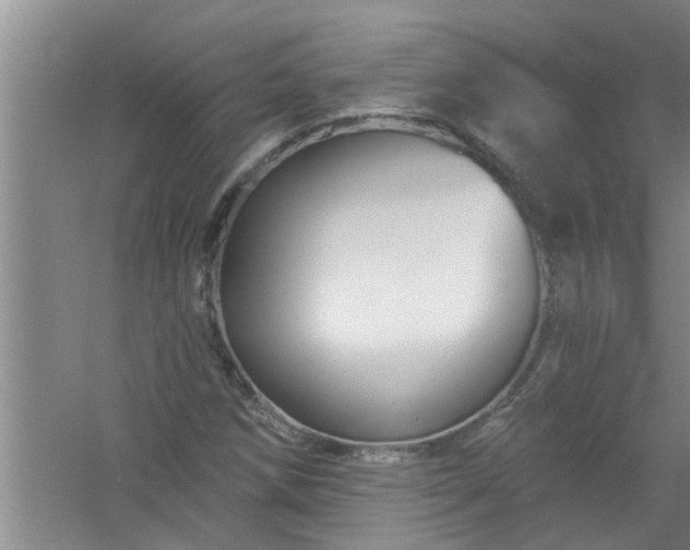 X0000058831258200510071812