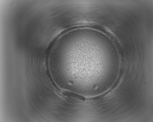 X0000058831259200510071812