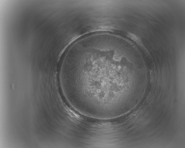 X0000058831260200510071812