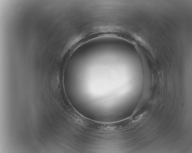 X0000058831261200510071812