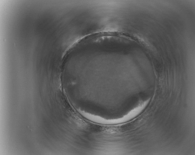 X0000058831262200510071812