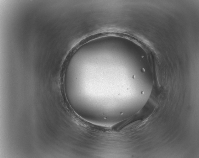 X0000058831264200510071812