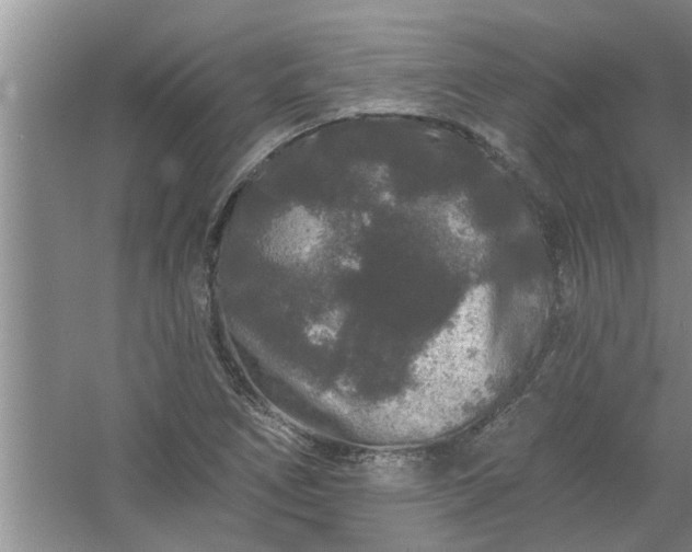 X0000058831266200510071811