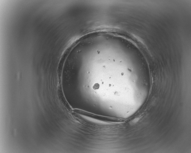 X0000058831267200510071811