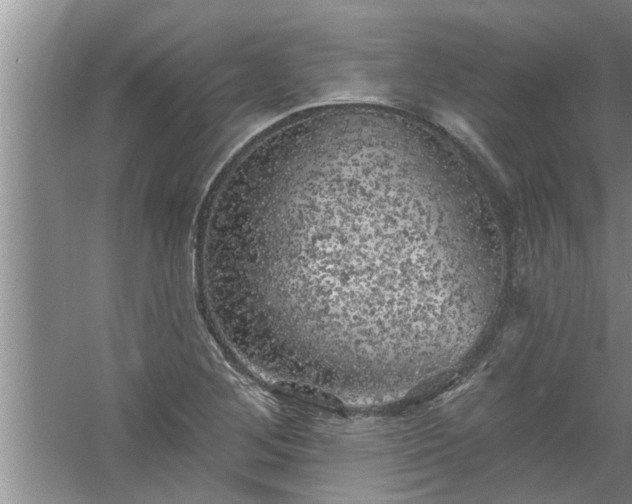 X0000058831268200510071811