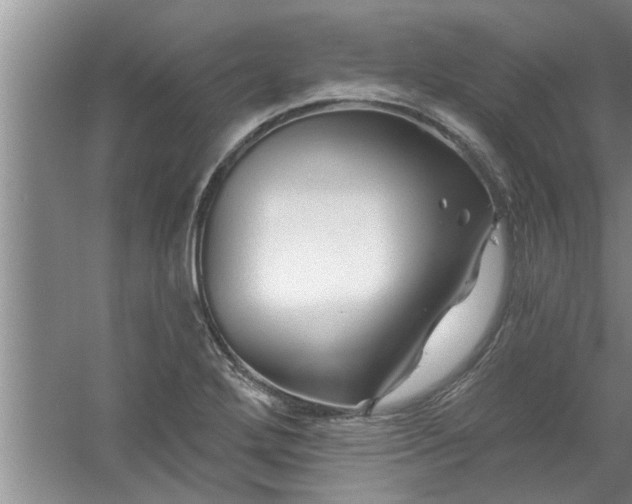 X0000058831272200510071811