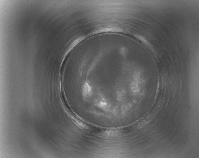 X0000058831274200510071811