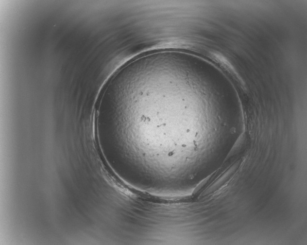 X0000058831276200510071811