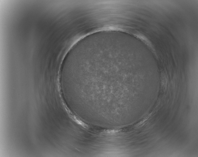 X0000058831278200510071811