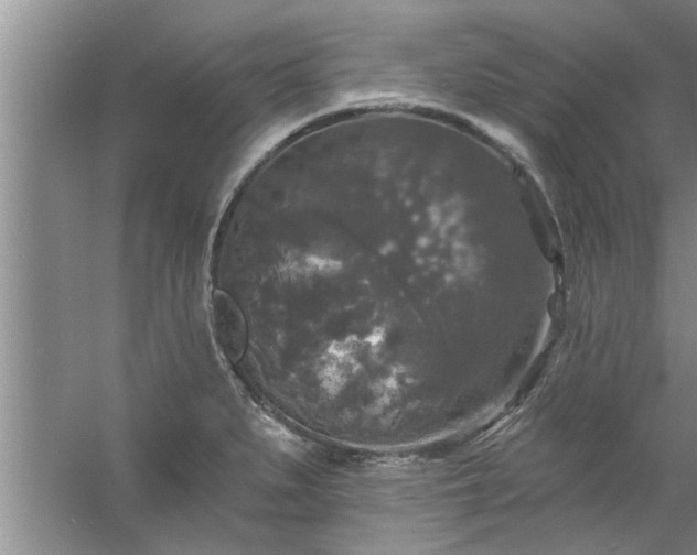 X0000058831279200510071811