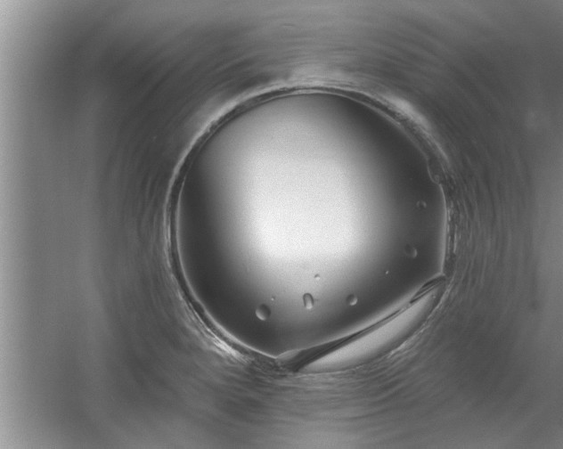 X0000058831280200510071811