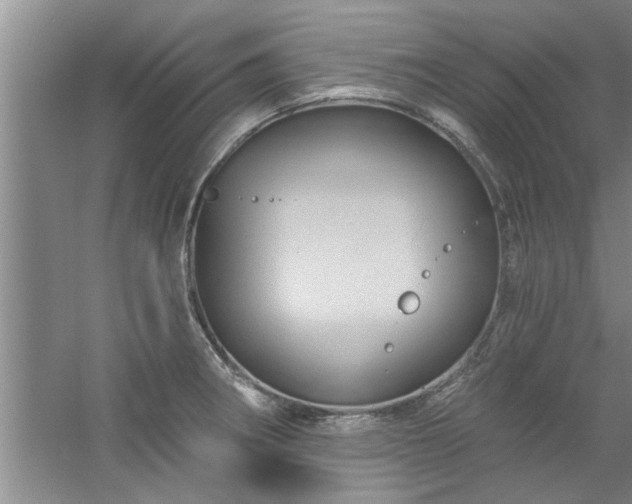 X0000058831282200510071811