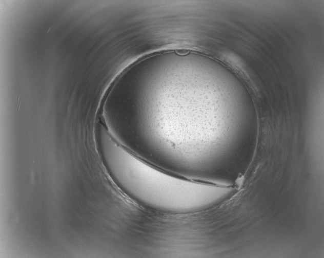 X0000058831284200510071811