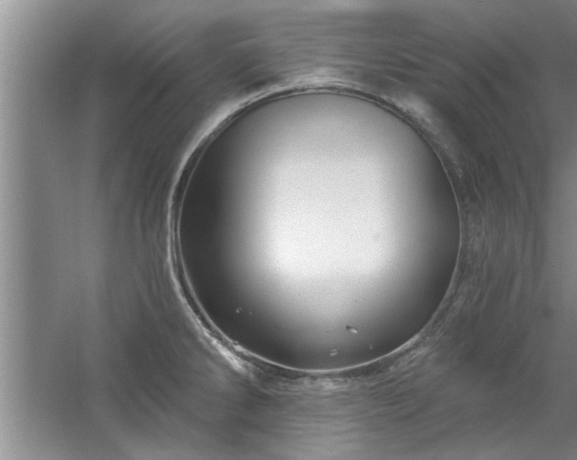 X0000058831286200510071811